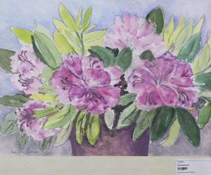 Blühende Topfpflanze 2